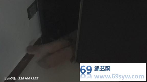  灰鸟剧情 老公欠高利贷跑路，妻子被高利贷绑架/64分钟