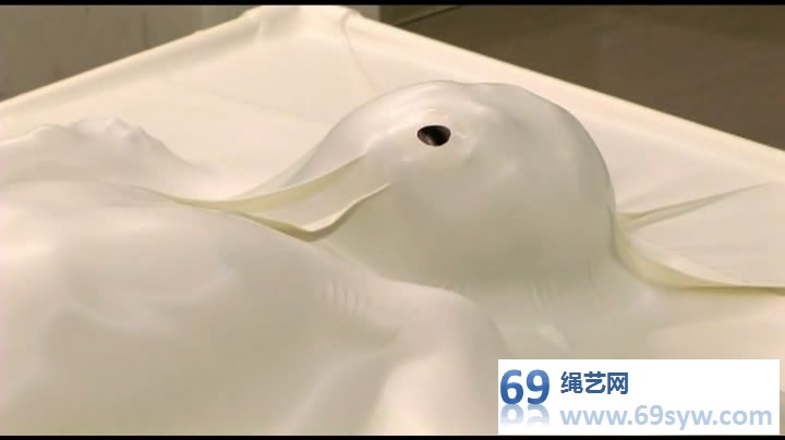  放课后の惩罚 女学生被封入真空床/38分钟