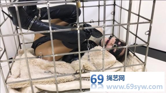旋律与金属1 （过膝长靴、长手套、钢枷、笼子，鞭打/30分钟