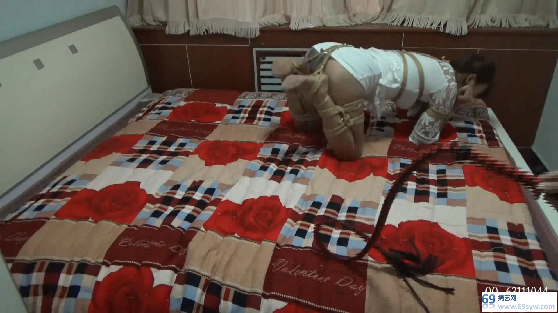  随心 丽奴-人型犬 K9 tj/31分钟