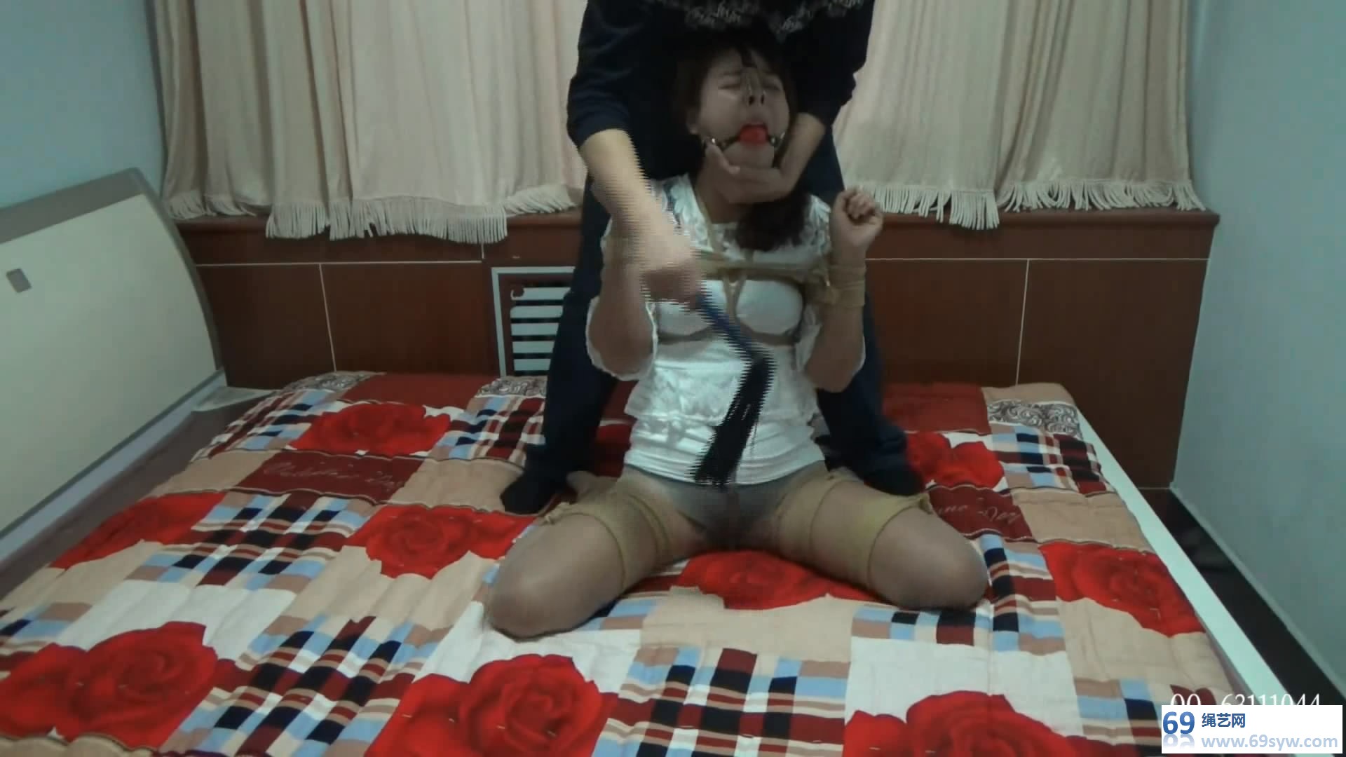  随心 丽奴-人型犬 K9 tj/31分钟