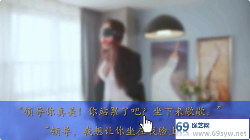 红鲤鱼工作室_字幕剧情游戏 办公室的女老板 上/26分钟