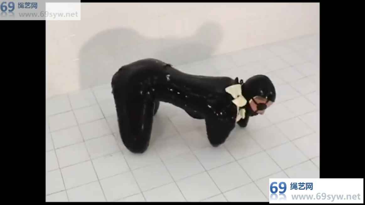  全包乳胶犬，感官被封闭，唯一的开口被锁上..../6分钟