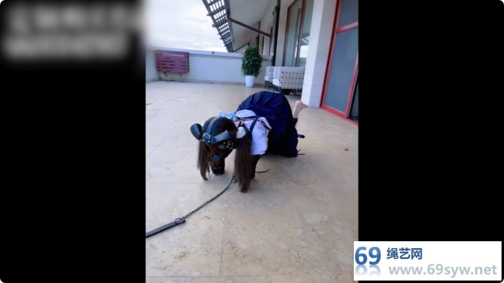 咕咕精 茶茶户外人形犬K9溜行/44分钟