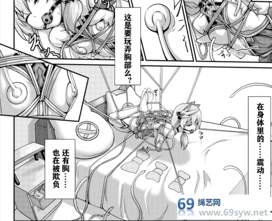 漫画—崩坏3—帝王级崩坏兽的纷争—14P视频下载