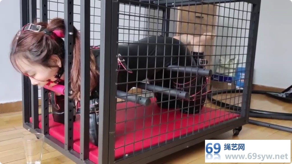 玩奴 人形犬之铁笼囚禁 胶衣马具口球收集口水 妹子被关麻了/29分钟