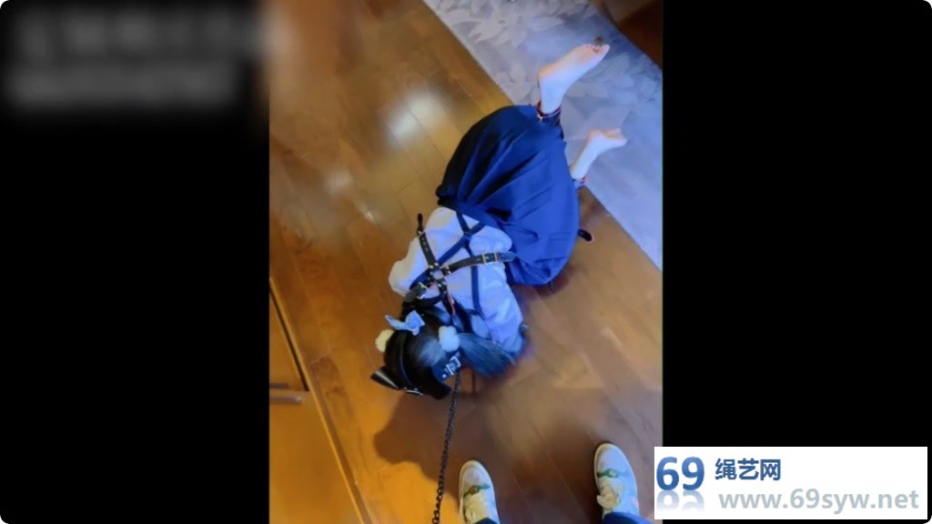 咕咕精 茶茶户外人形犬K9溜行/44分钟