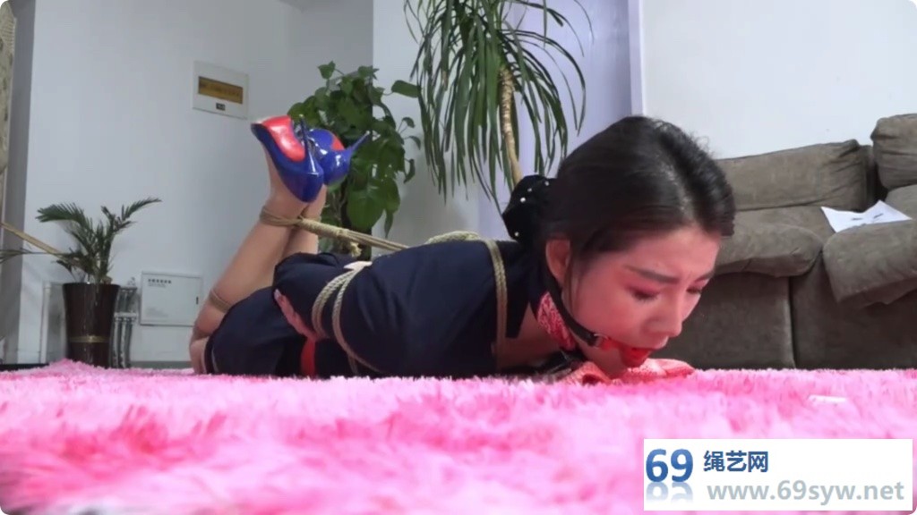 逍遥 特务支援科任务03 空姐拐卖案场景还原/18分钟