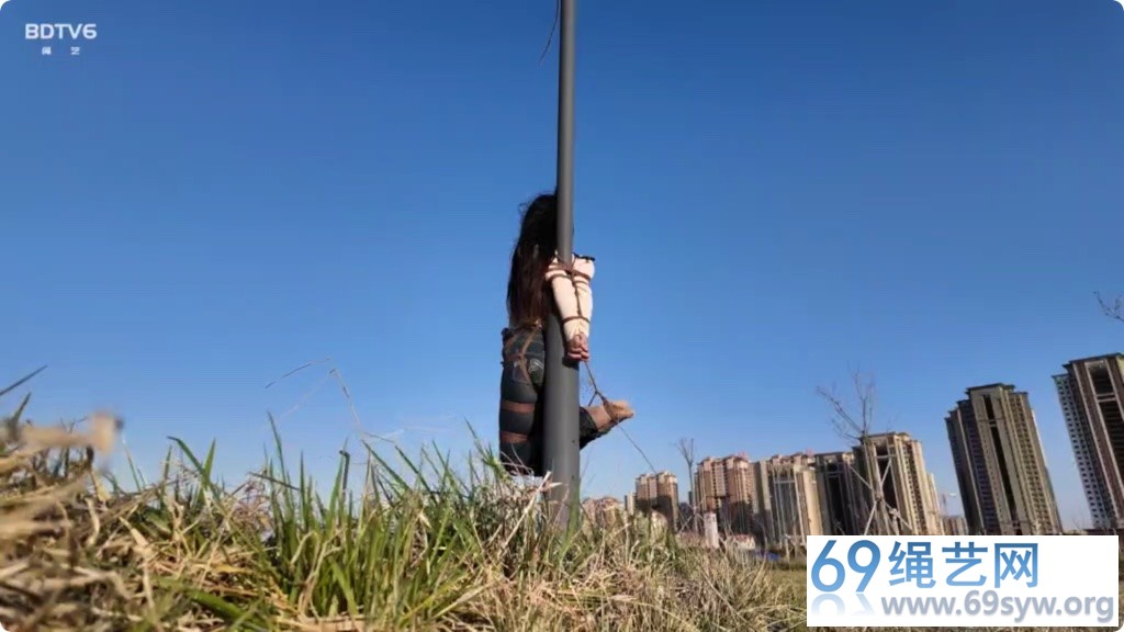 半岛 海语 无源相控阵人工智能可视一体化监控杆 户外悬吊/20分钟