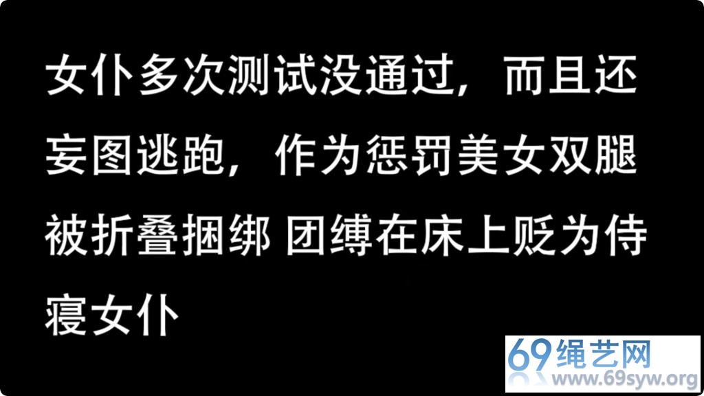 逍遥剧情 吴晗 女仆的T教日记03/15分钟