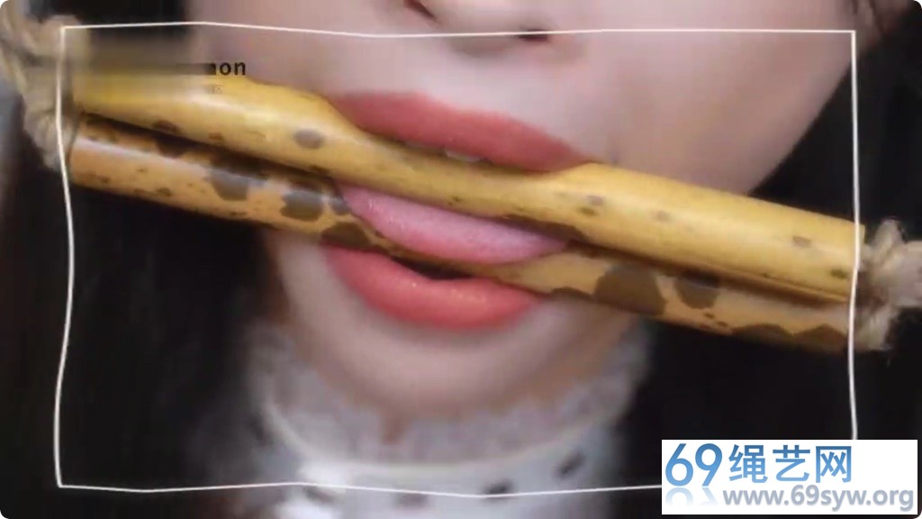  王竹子  SMT教小道具体验分享 竹子亲手做的竹子口枷/6分钟/10积分