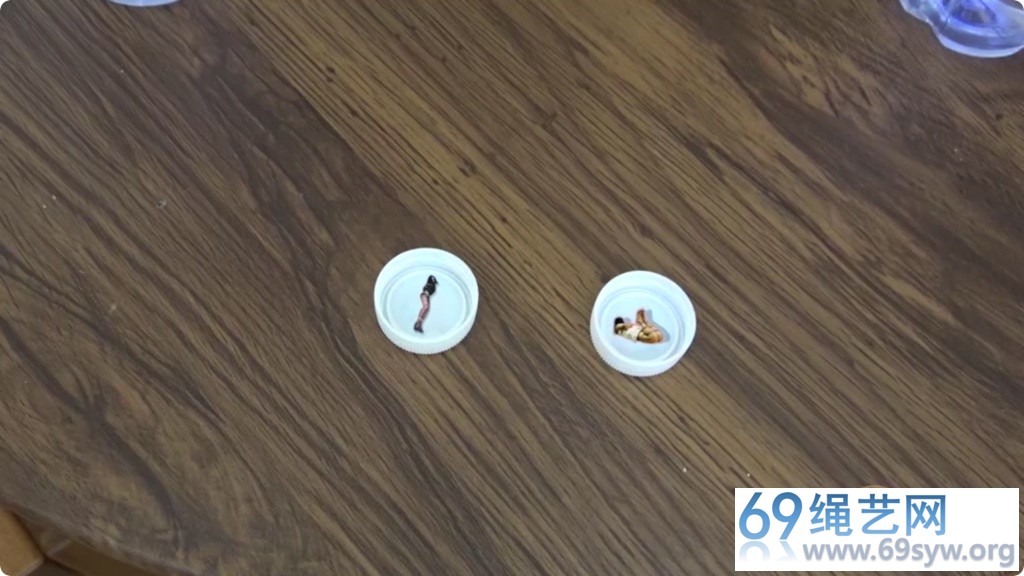 半岛 白鲸+奎因 瓶盖真能开出奖/18分钟