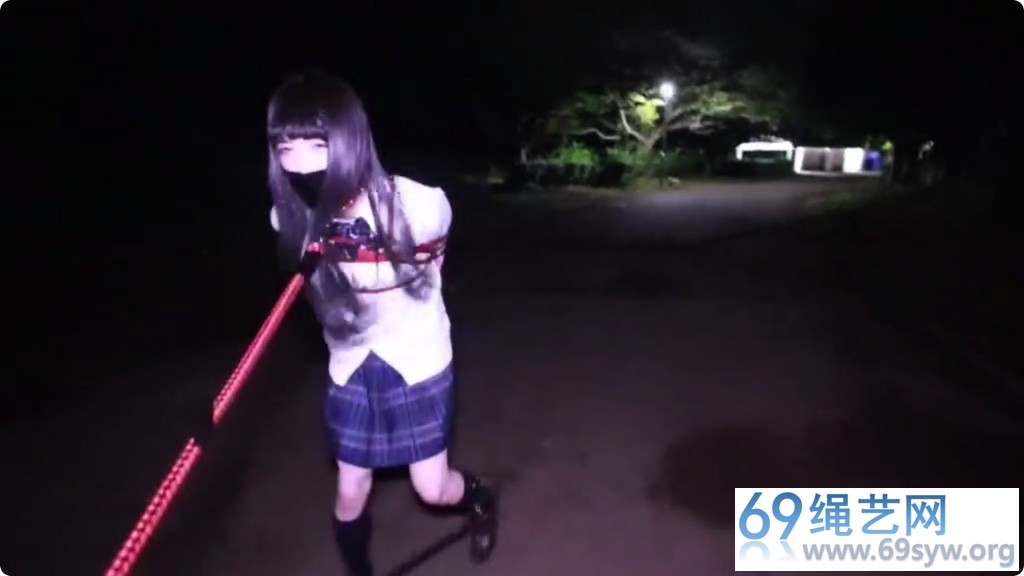 D@Lemon 1号女弩 JK学生 户外遛狗 固定在灯柱上遗弃放置/20分钟