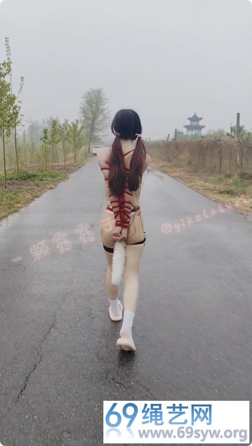 超高清 一颗露露子 双马尾露露白日公园GS公路旁亭子紧缚放置/17分钟